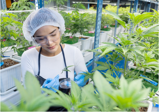 plant-industry-feature-text-2