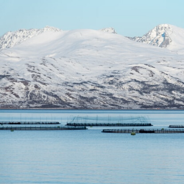 Tamrotor Aguaculture applications