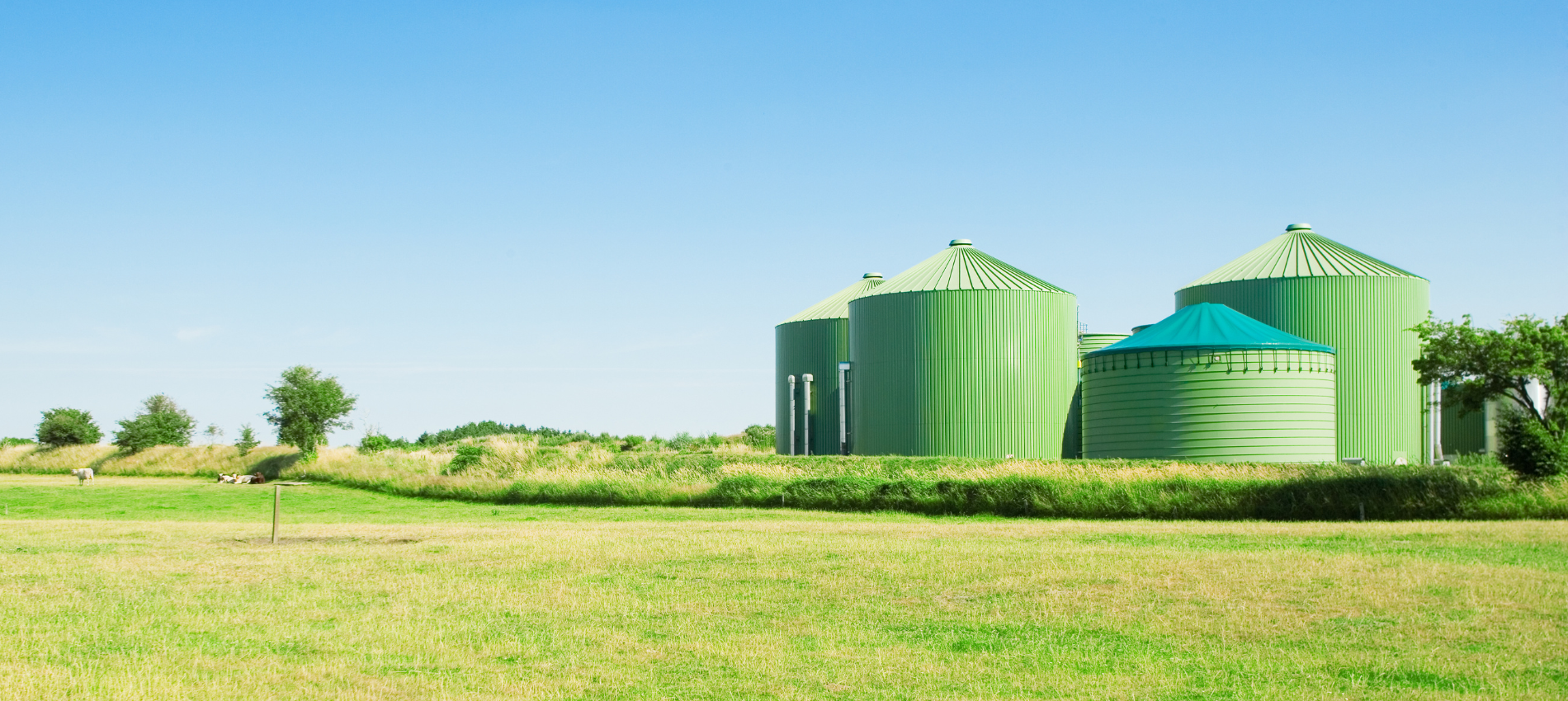 Biogas plant